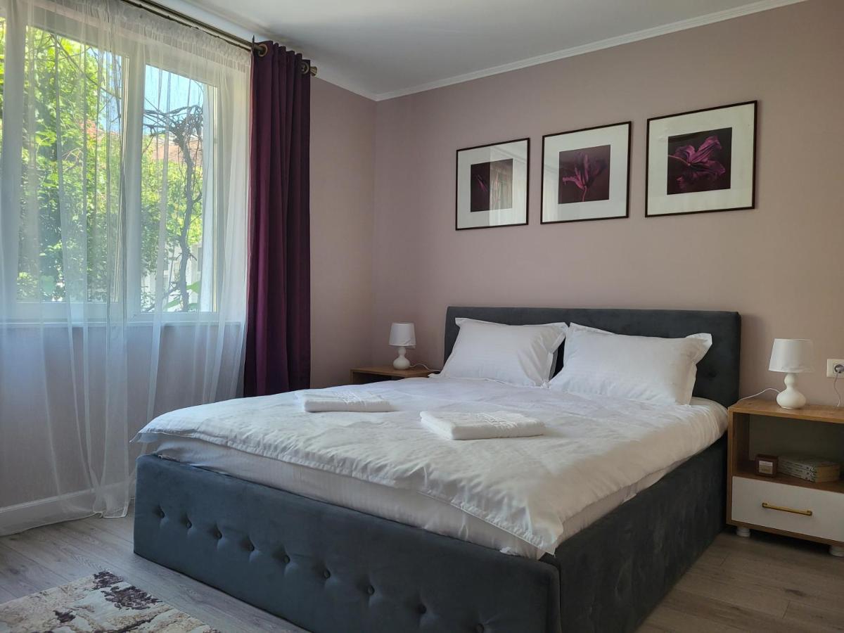 Pandora Central Apartment كلوج-نابوكا المظهر الخارجي الصورة