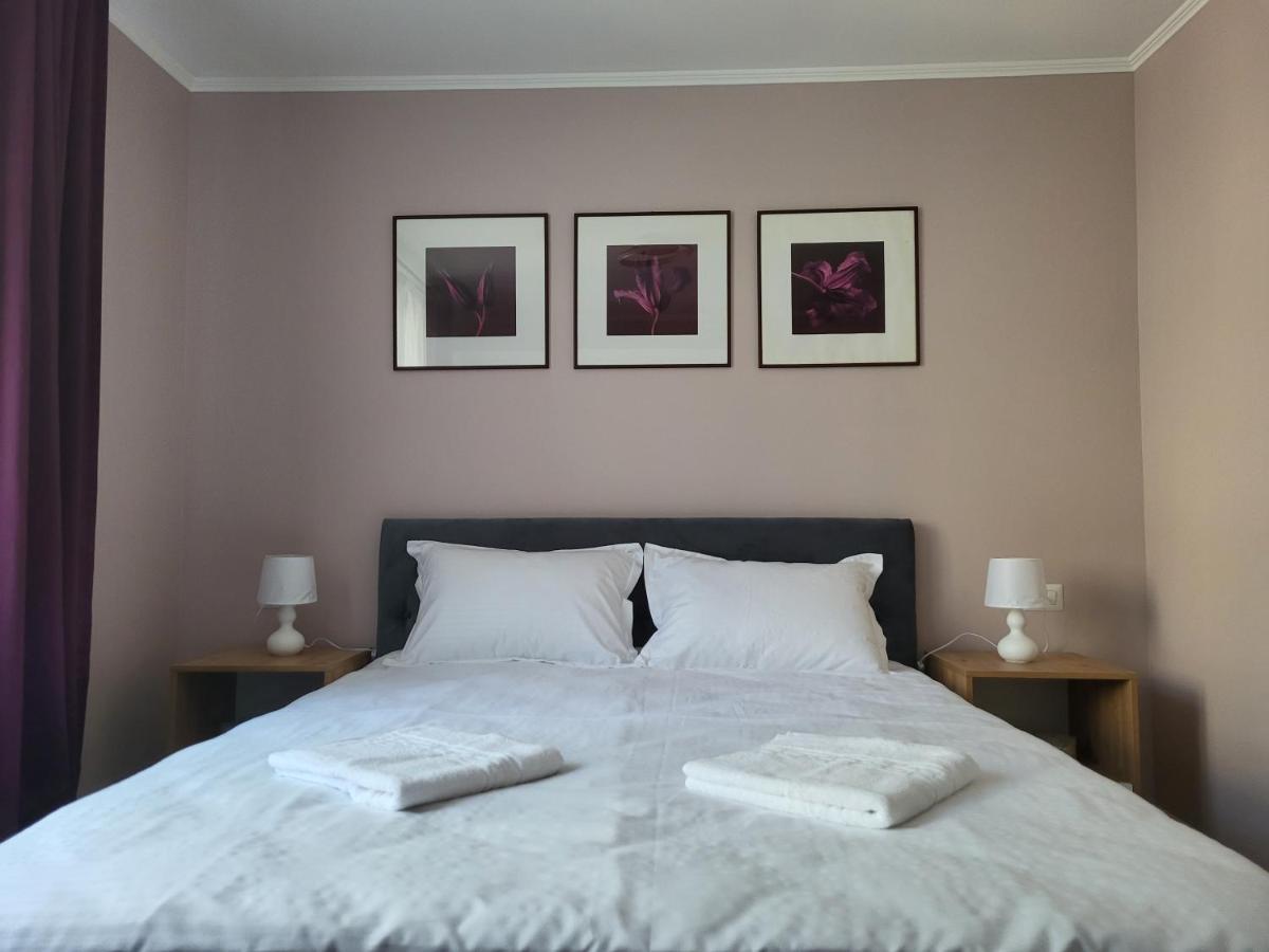 Pandora Central Apartment كلوج-نابوكا المظهر الخارجي الصورة